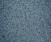 2mm Thick Anti Static Flooring , Conductive Vinyl Flooring With Long Service Life